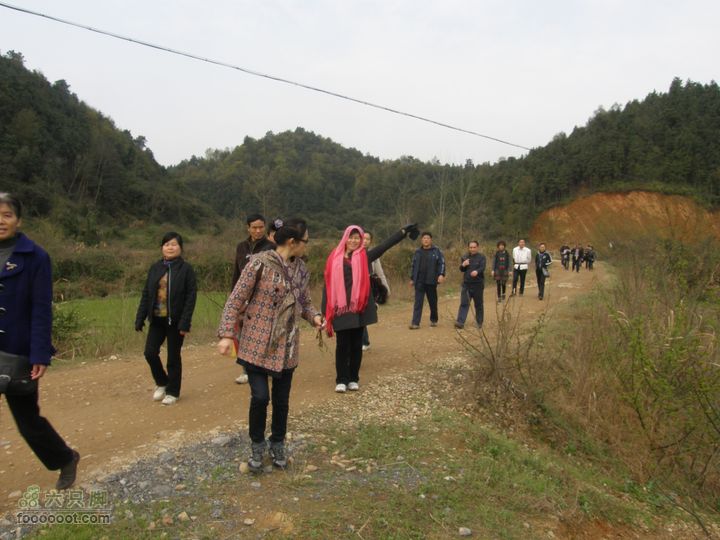 26日26网友从万福亭出发寻访江丰烈士P3260819