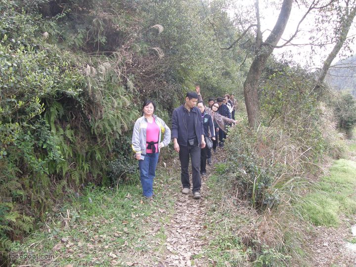 26日26网友从万福亭出发寻访江丰烈士P3260821