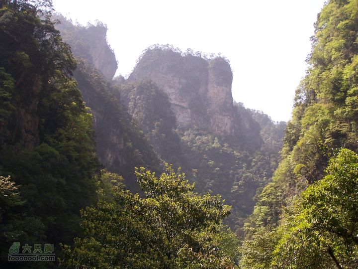 2007.5.1游览光雾山2D100_5210