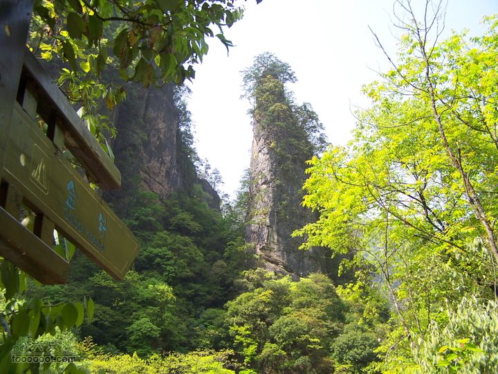 2007.5.1游览光雾山2D100_5217
