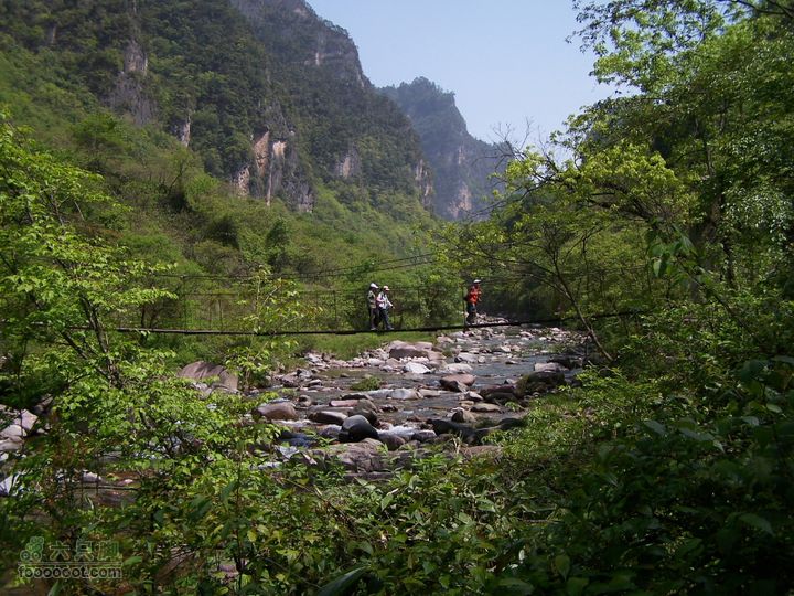 2007.5.1游览光雾山2D100_5221