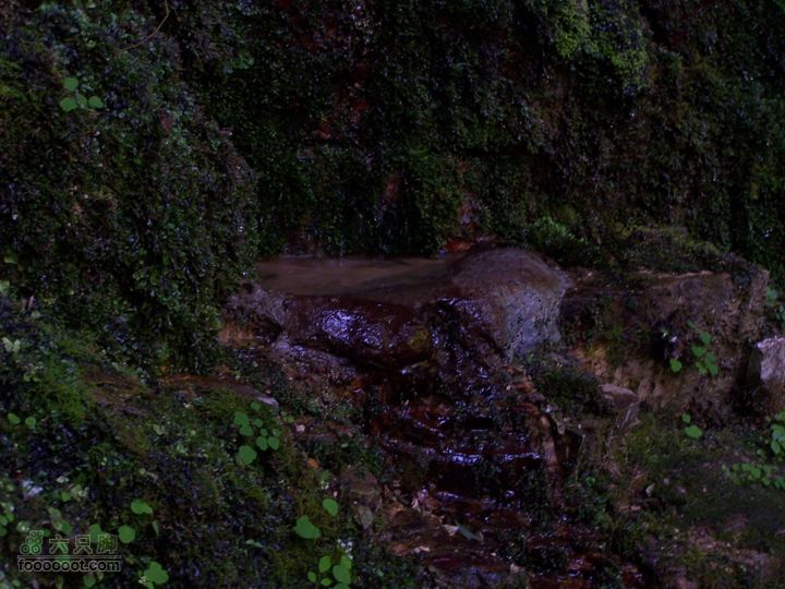 2007.5.1游览光雾山2D100_5230