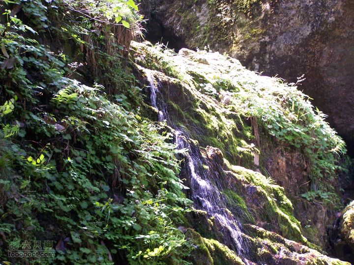 2007.5.1游览光雾山2D100_5234