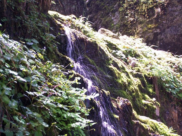 2007.5.1游览光雾山2D100_5235