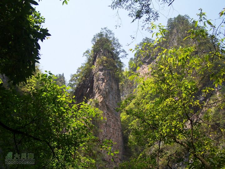 2007.5.1游览光雾山2D100_5236