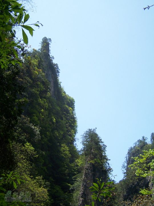 2007.5.1游览光雾山2D100_5238