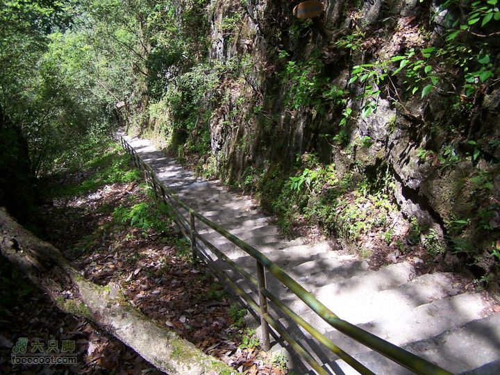 2007.5.1游览光雾山2D100_5239