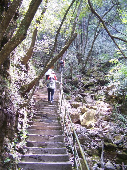 2007.5.1游览光雾山2D100_5240