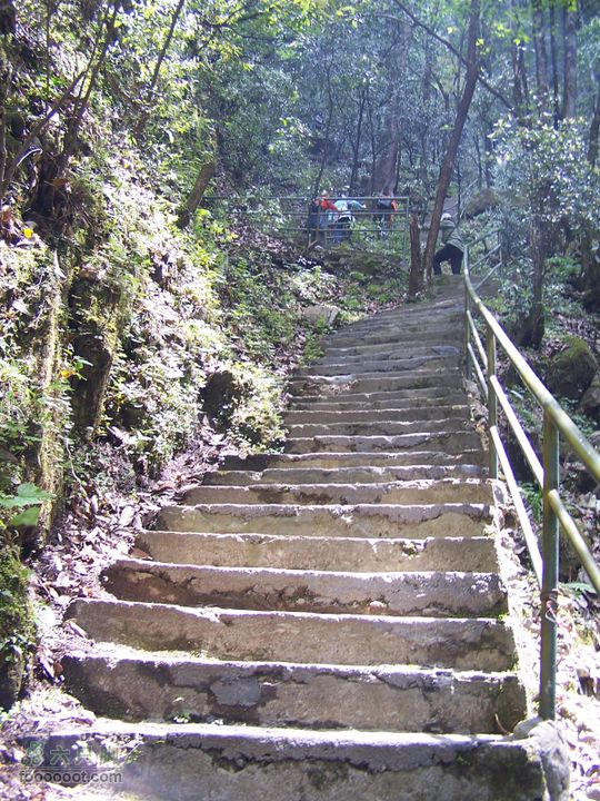 2007.5.1游览光雾山2D100_5241
