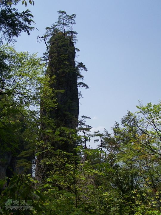 2007.5.1游览光雾山2D100_5251