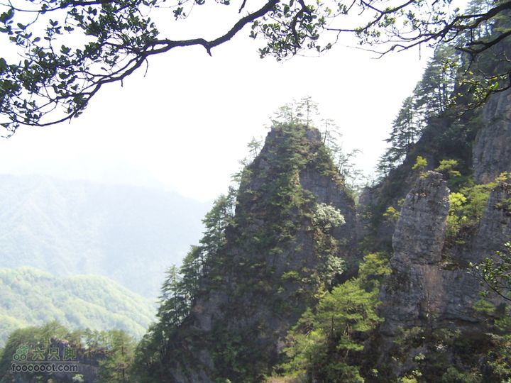 2007.5.1游览光雾山2D100_5255