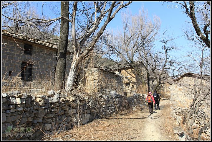 20110326林州桑园-四方脑-窟窿梯-黄华寺桑园-黄华寺32