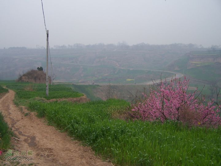 2008.4.4临潼-蓝田骑行100_8131