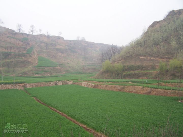 2008.4.4临潼-蓝田骑行100_8135