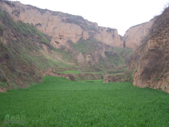 2008.4.4临潼-蓝田骑行100_8140