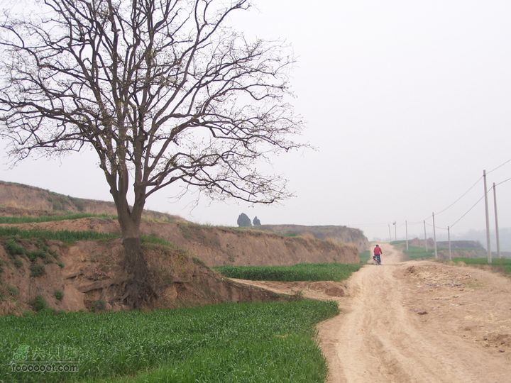2008.4.4临潼-蓝田骑行100_8150