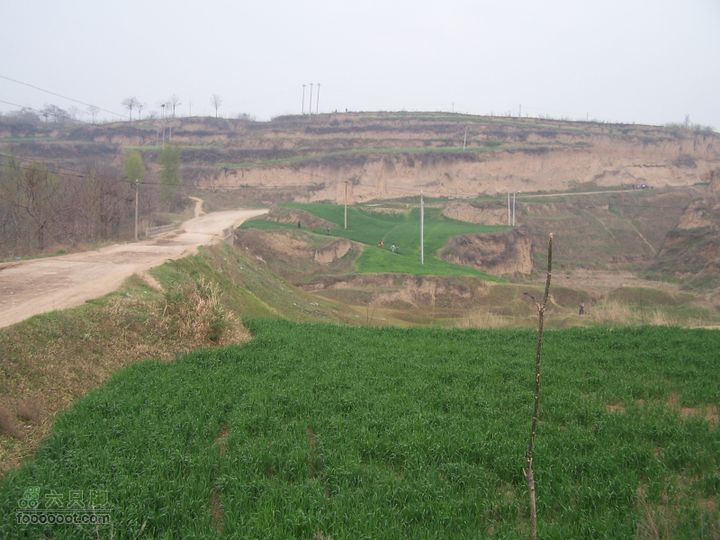 2008.4.4临潼-蓝田骑行100_8156