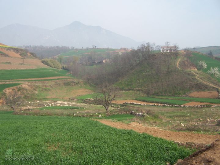 2008.4.4临潼-蓝田骑行100_8173