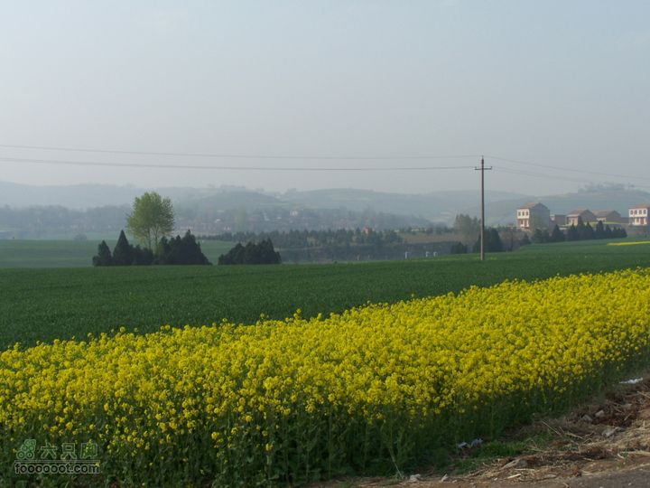 2008.4.4临潼-蓝田骑行100_8185