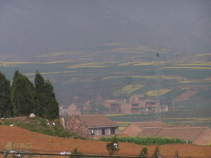 2008.4.4临潼-蓝田骑行100_8191