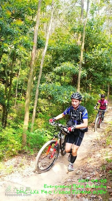 2011 04 03 荃錦坳、清快塘、大棠、錦上路車站P1370734