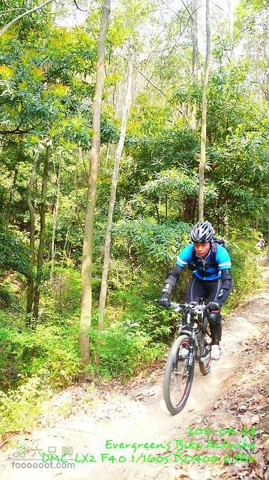 2011 04 03 荃錦坳、清快塘、大棠、錦上路車站P1370739