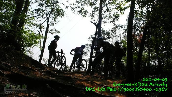 2011 04 03 荃錦坳、清快塘、大棠、錦上路車站P1370745