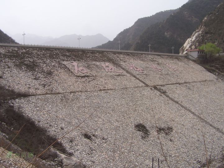2009.3.21石砭峪采青100_1296