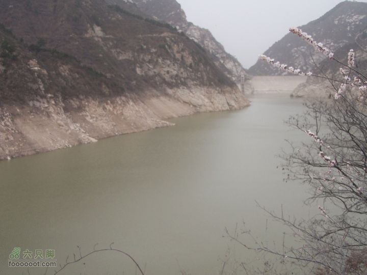 2009.3.21石砭峪采青100_1309