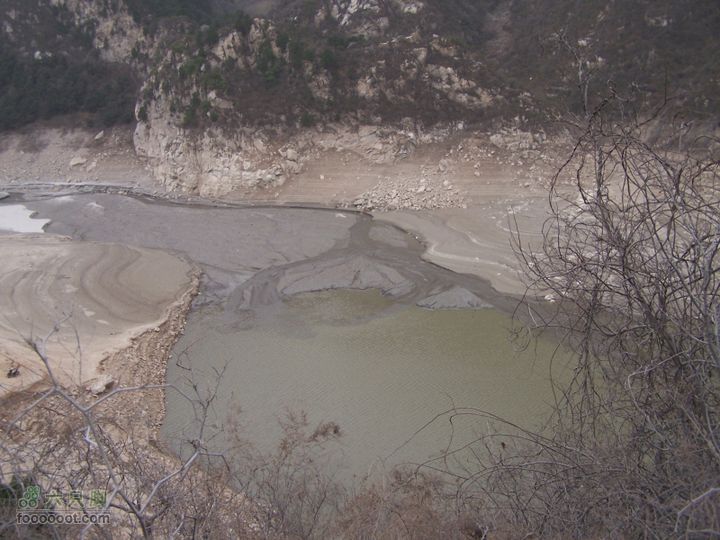 2009.3.21石砭峪采青100_1310