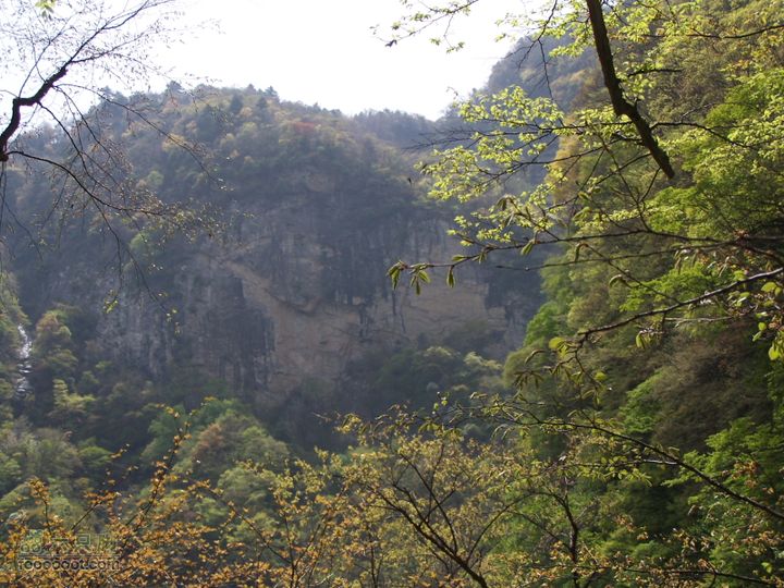 2009.4.26太平公园100_1987