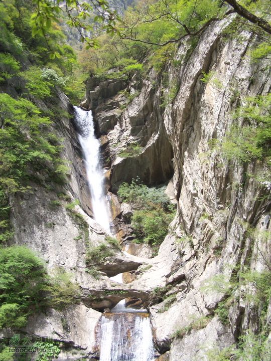 2009.4.26太平公园100_1989