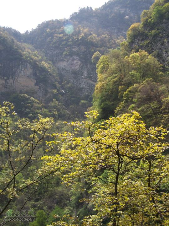2009.4.26太平公园100_1990