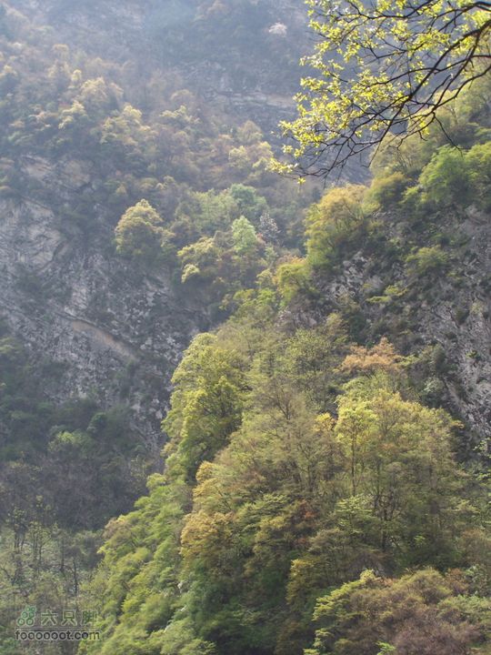 2009.4.26太平公园100_1992