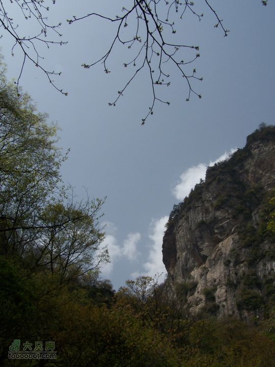 2009.4.26太平公园100_1993