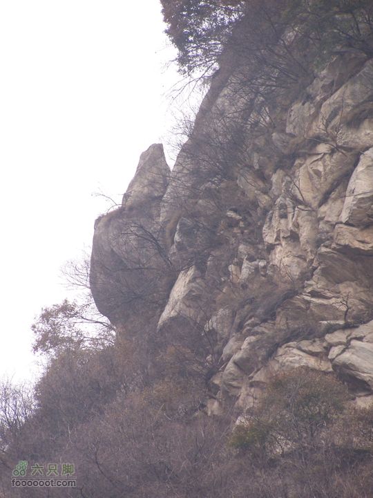 2008.12.20紫阁峪100_0848