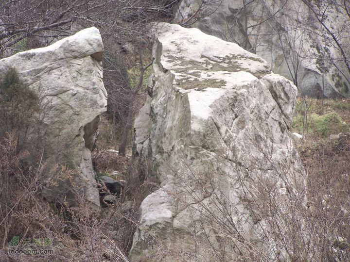 2008.12.20紫阁峪100_0862