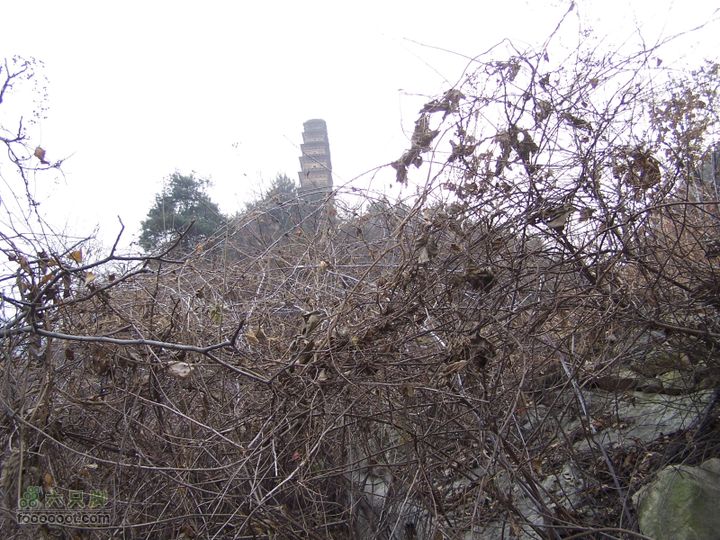 2008.12.20紫阁峪100_0883