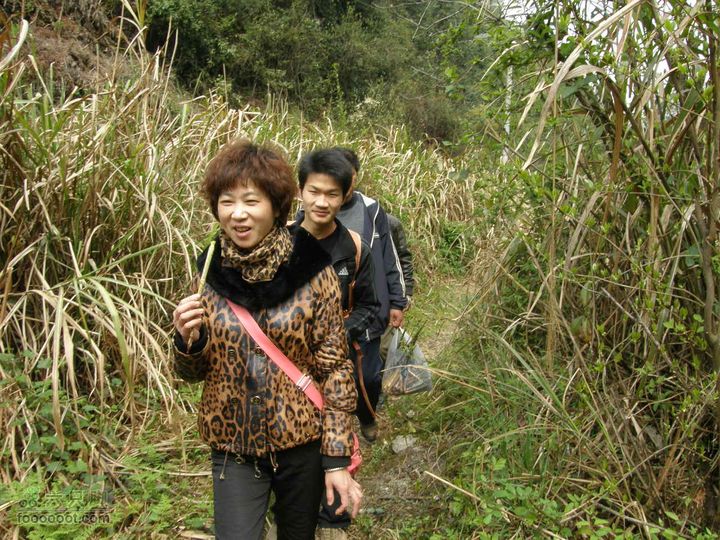 明月十里峡风光无限好，温汤水口库春笋味多香！P4040899