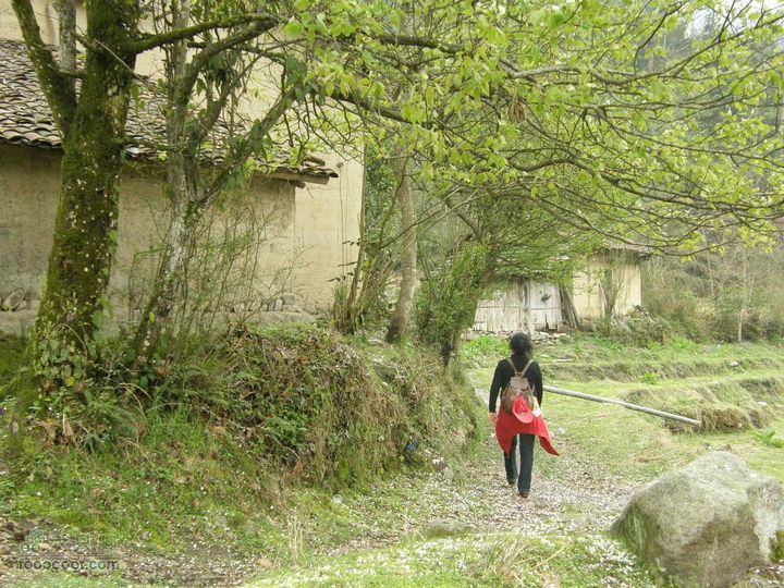 明月十里峡风光无限好，温汤水口库春笋味多香！P4040942