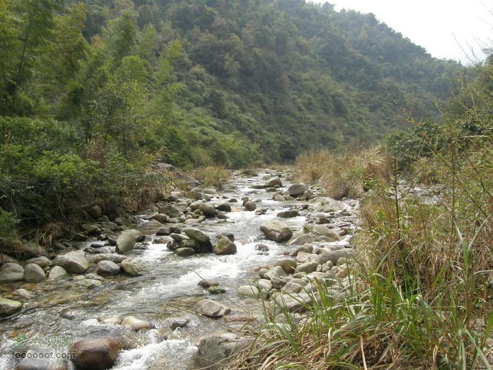 明月十里峡风光无限好，温汤水口库春笋味多香！P4040900