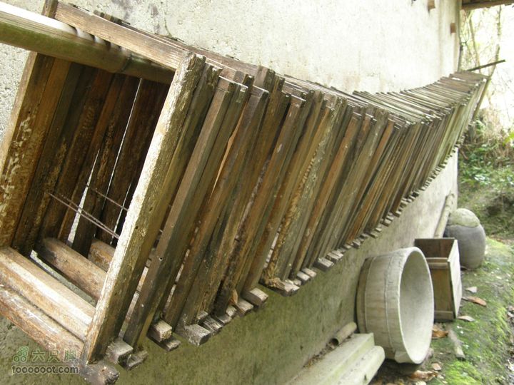 明月十里峡风光无限好，温汤水口库春笋味多香！P4040953