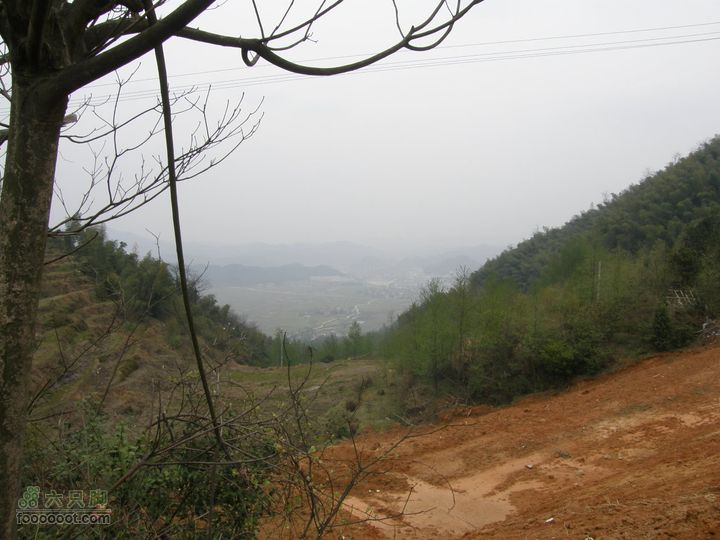明月十里峡风光无限好，温汤水口库春笋味多香！P4041040