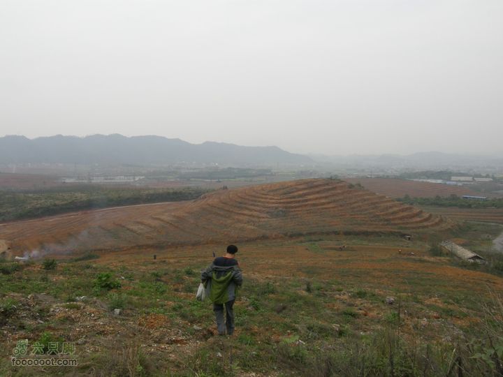 追古兮圣贤、徒步健身兮环游震山P4051151