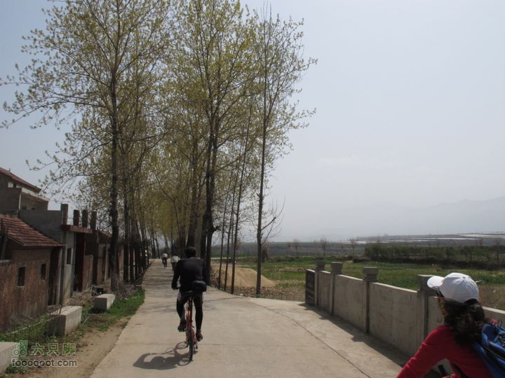 【奔驰车行】2011.4.9杨庄观油菜花IMG_0987