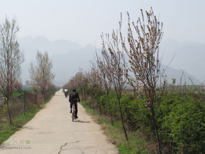 【奔驰车行】2011.4.9杨庄观油菜花IMG_0988