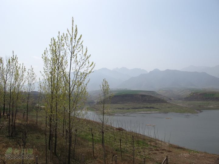 【奔驰车行】2011.4.9杨庄观油菜花IMG_0992