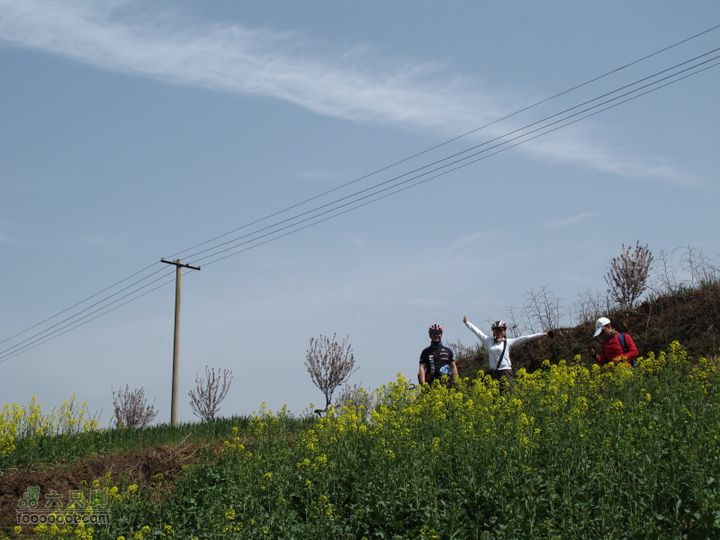 【奔驰车行】2011.4.9杨庄观油菜花IMG_0996