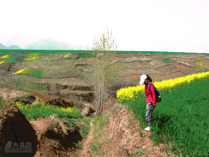 【奔驰车行】2011.4.9杨庄观油菜花IMG_1017