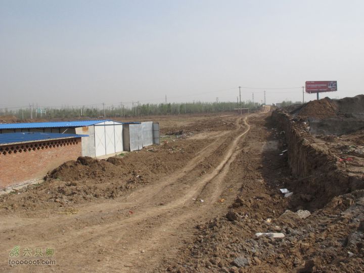 【奔驰车行】2011.4.9杨庄观油菜花老雁引路北